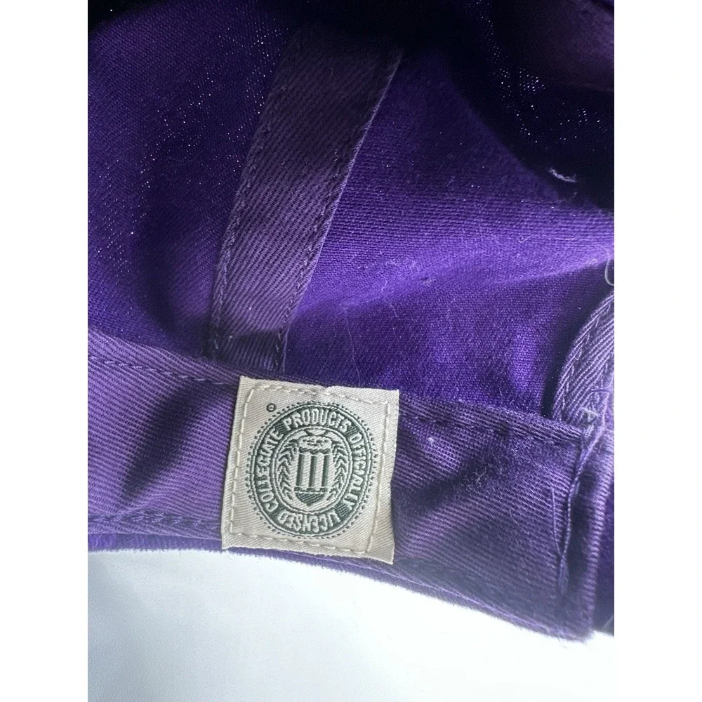 Northwestern University Wildcats 47 Brand Twins Franchise‎ Hat Cap OSFA NCAA